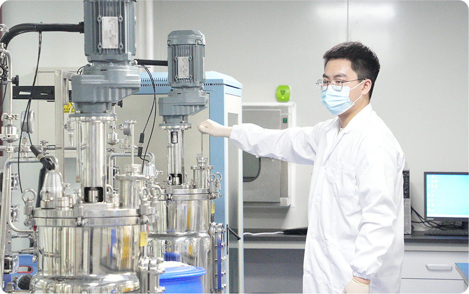 港澳赤兔版资料网