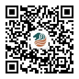 港澳赤兔版资料网